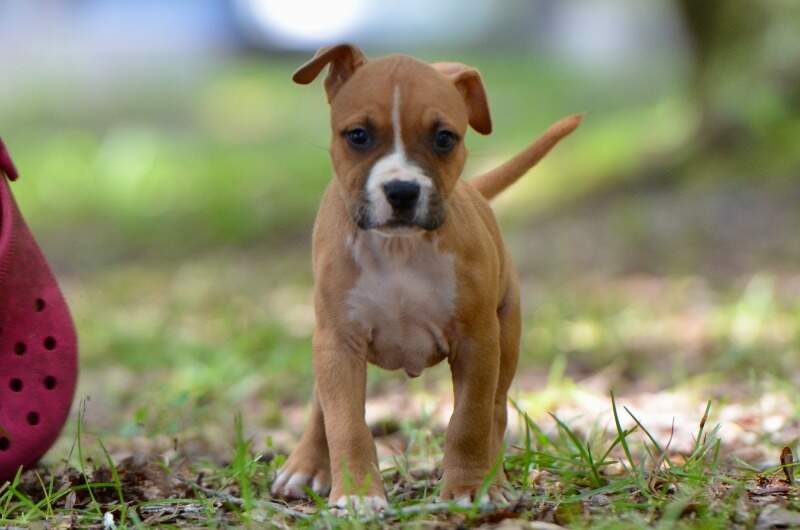 6 weeks