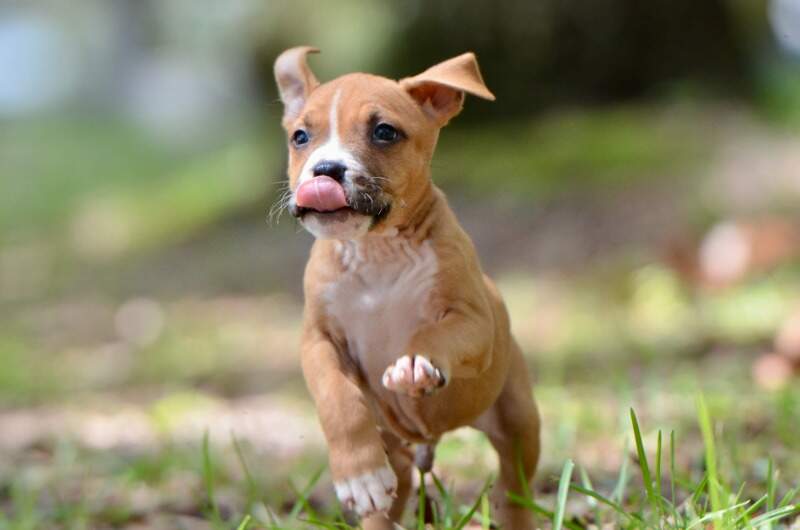 6 weeks