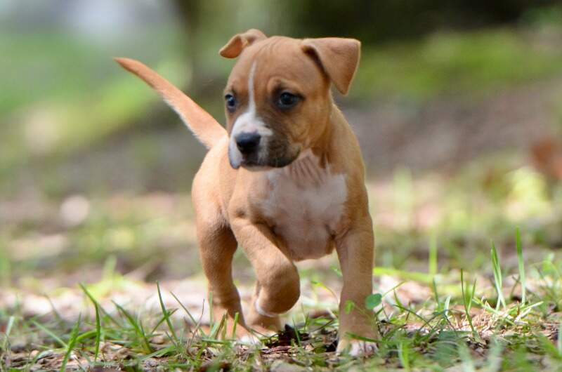 6 weeks