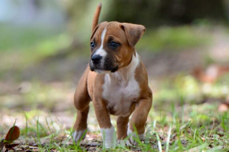 6 weeks