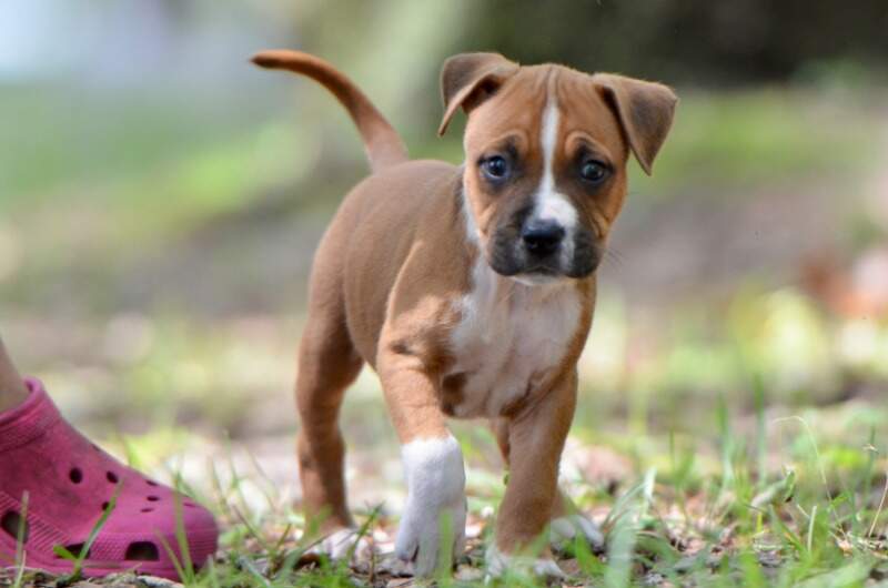 6 weeks