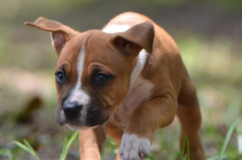 6 weeks