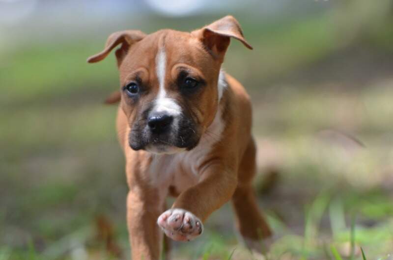 6 weeks