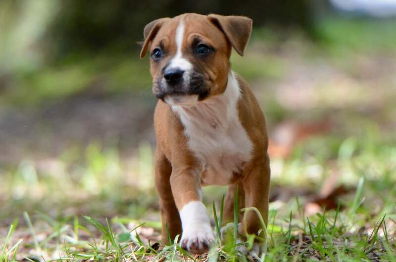 6 weeks