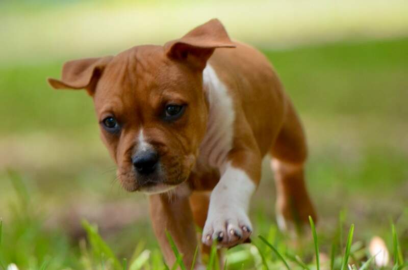 6 weeks
