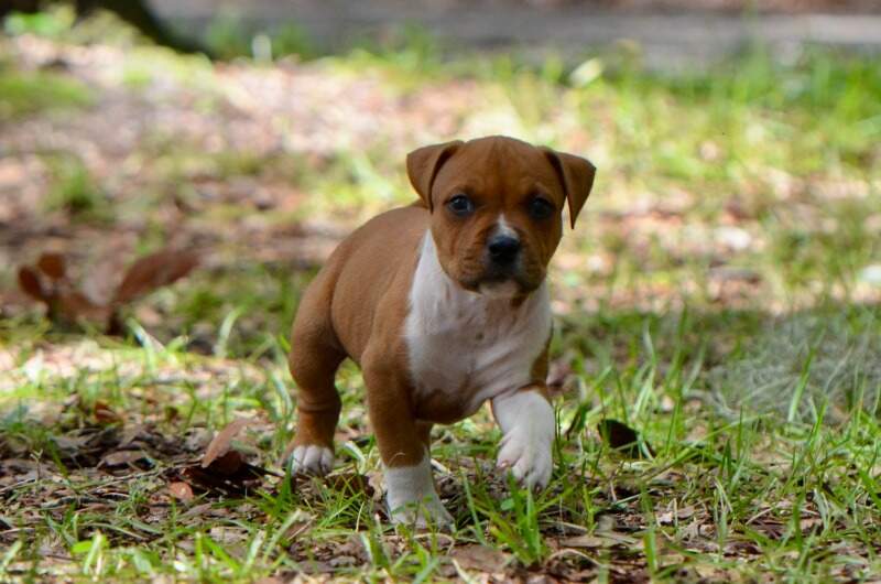 6 weeks