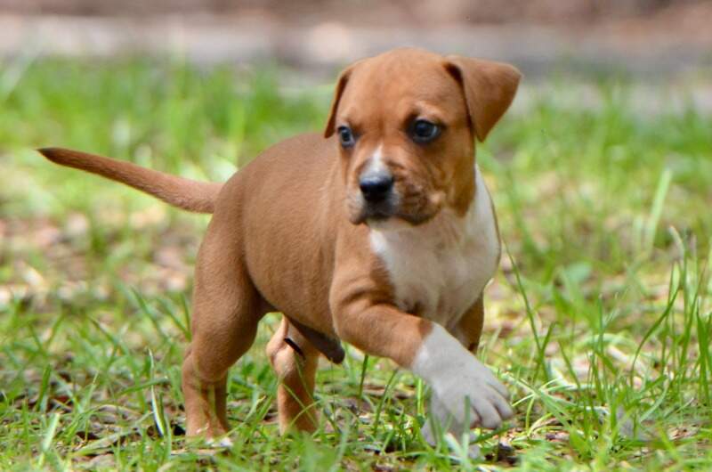 6 weeks