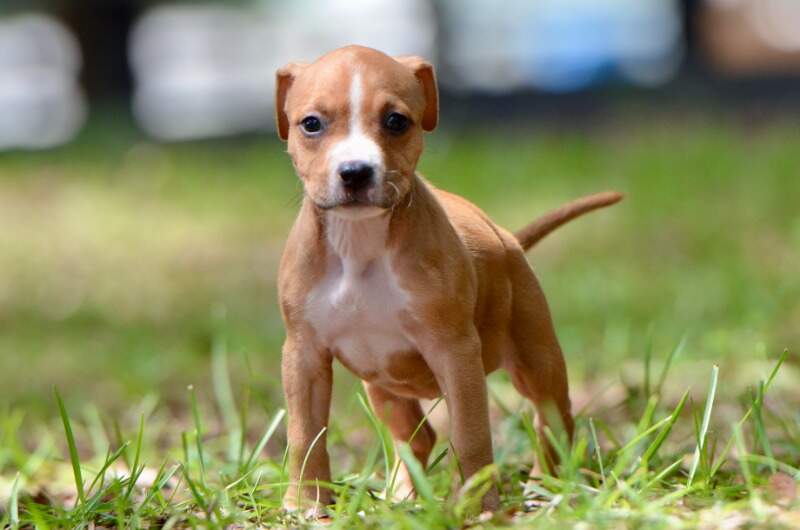 6 weeks