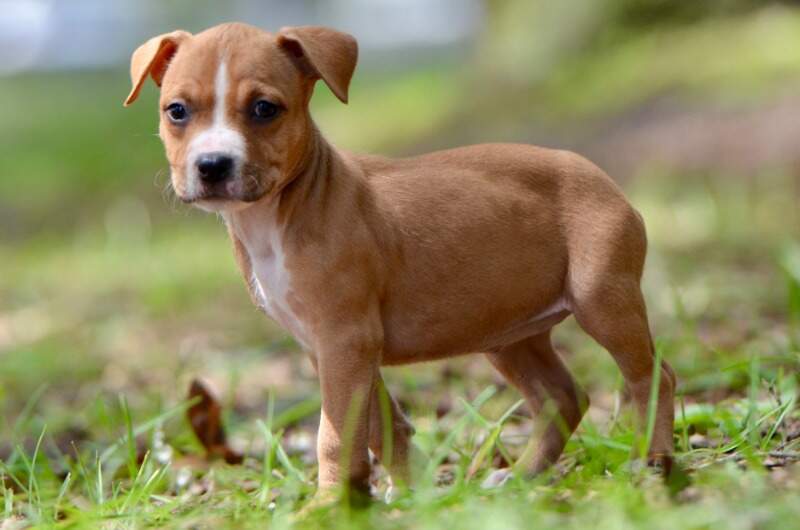 6 weeks