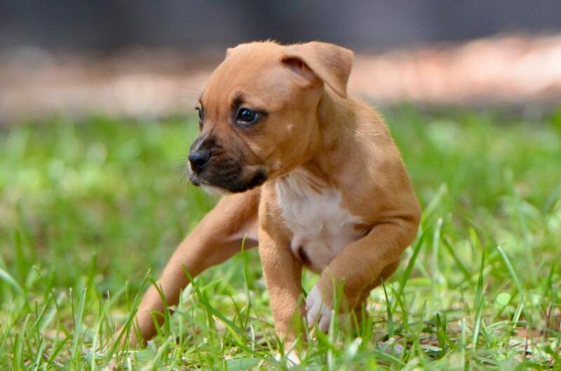 6 weeks