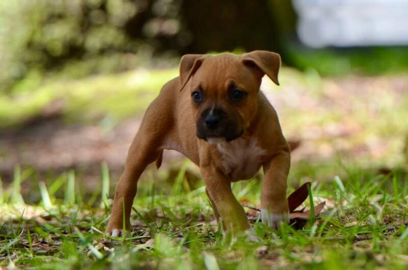 6 weeks