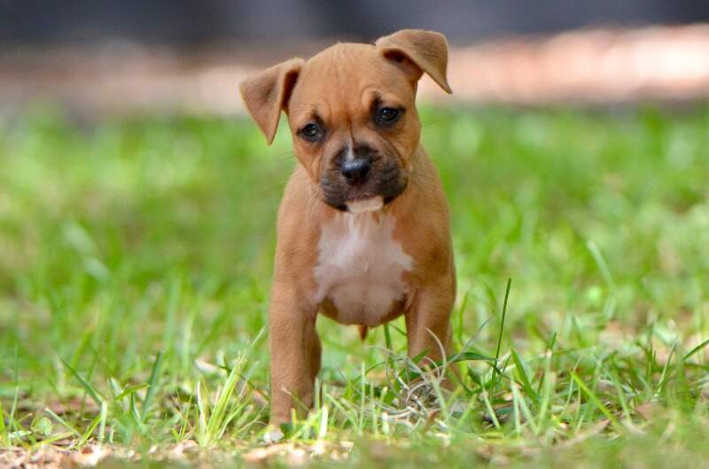 6 weeks