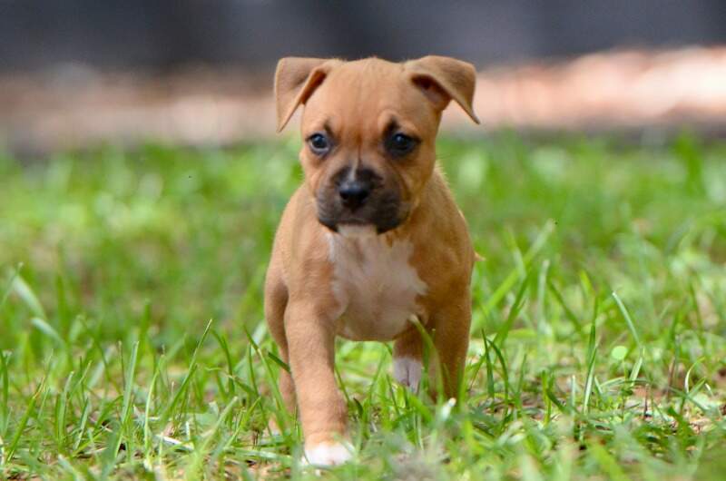 6 weeks