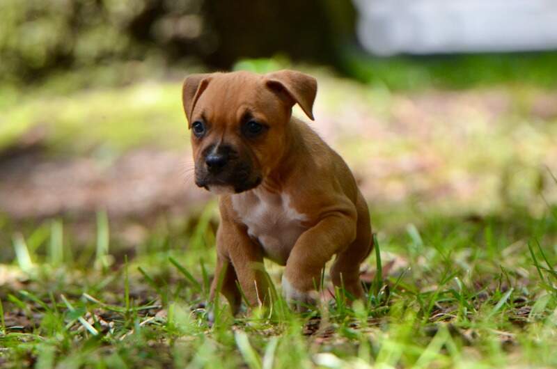 6 weeks
