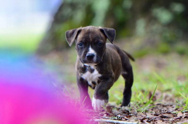 6 weeks