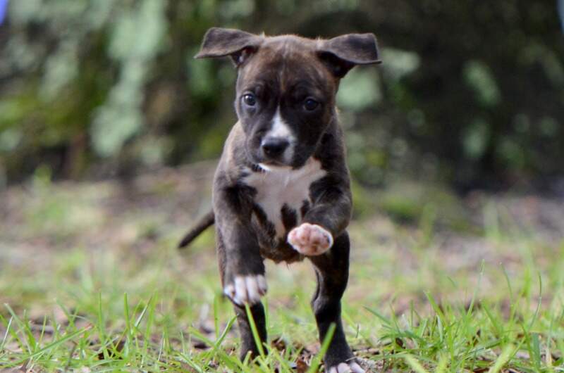 6 weeks