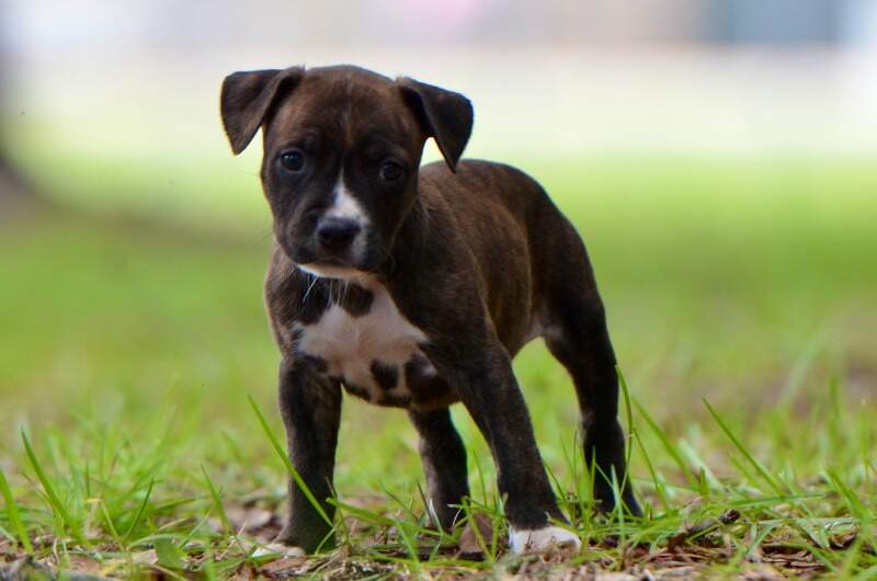 6 weeks