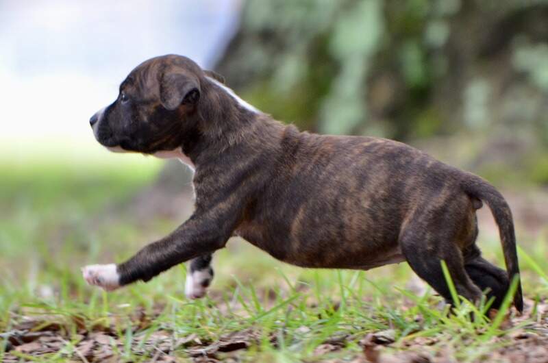6 weeks