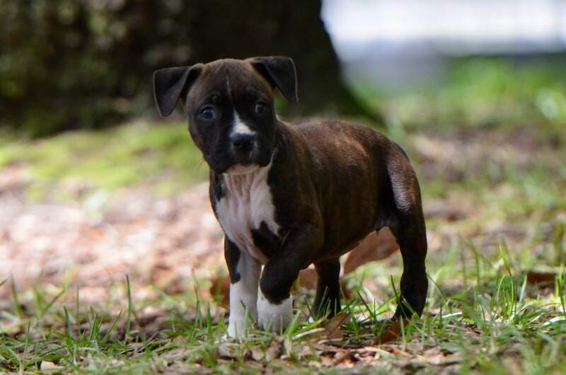6 weeks