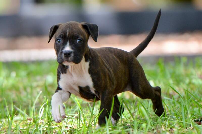 6 weeks