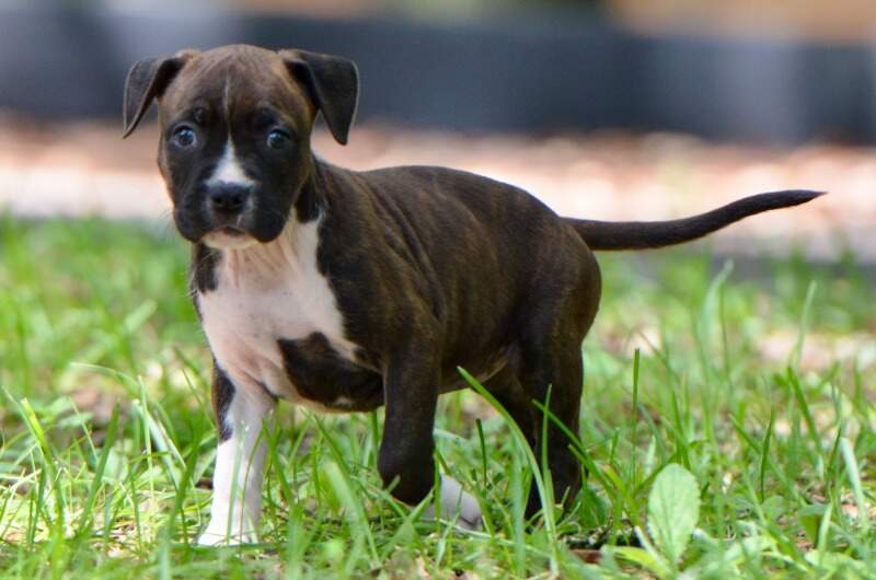 6 weeks