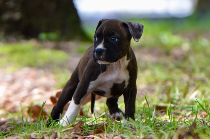 6 weeks