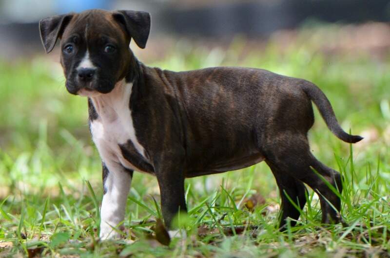 6 weeks
