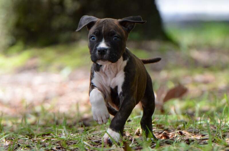 6 weeks