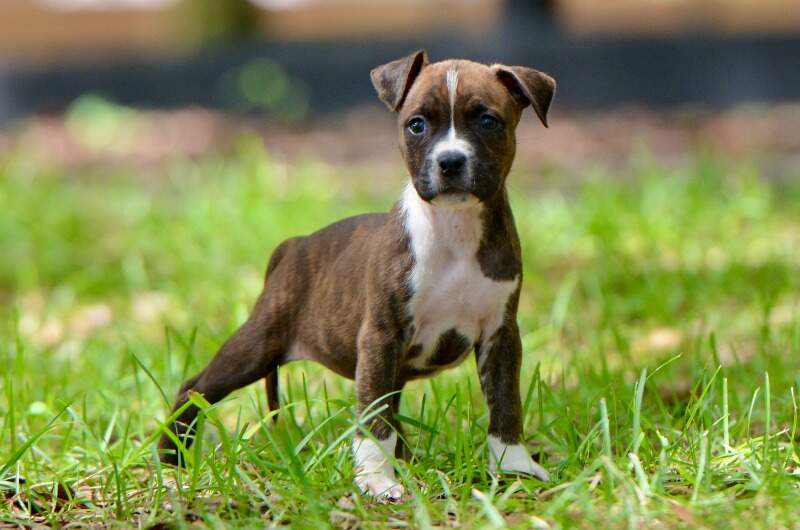 6 weeks