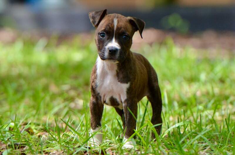 6 weeks