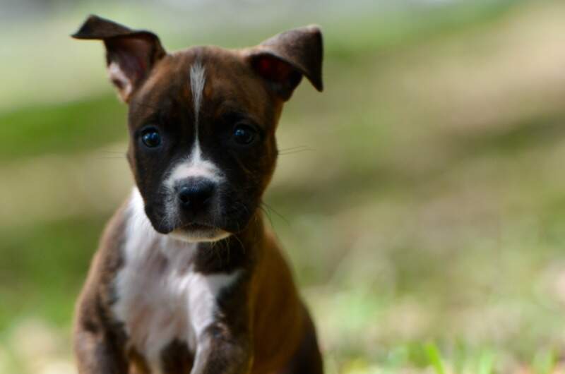 6 weeks