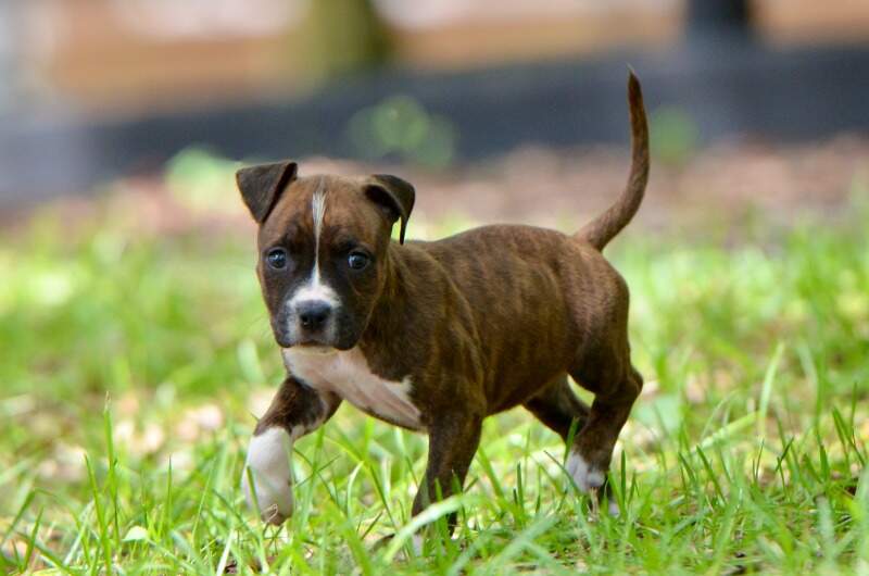 6 weeks