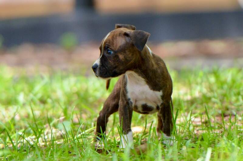 6 weeks