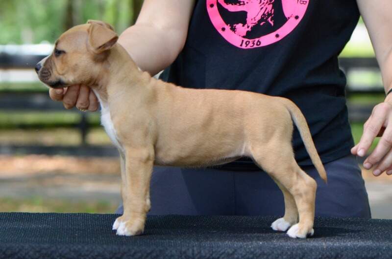 7 weeks