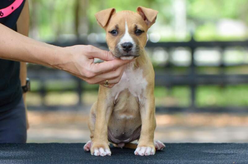7 weeks