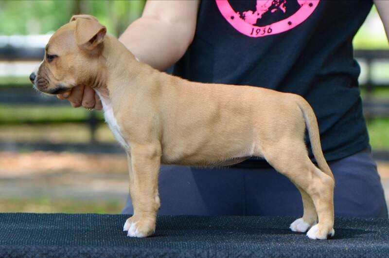 7 weeks