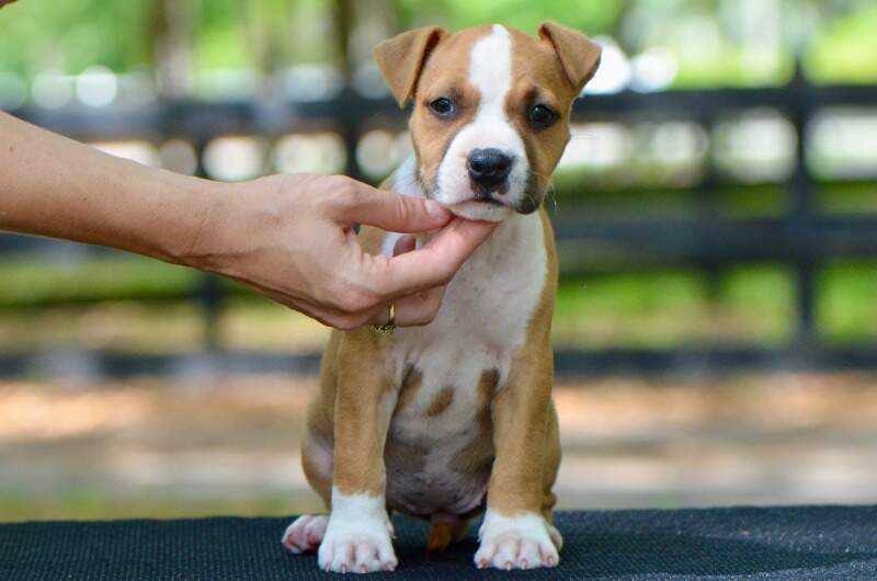 7 weeks