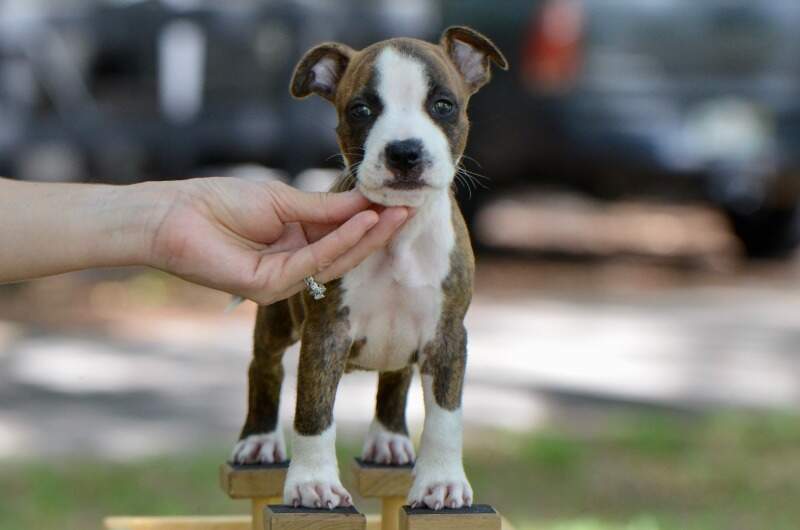 7 weeks