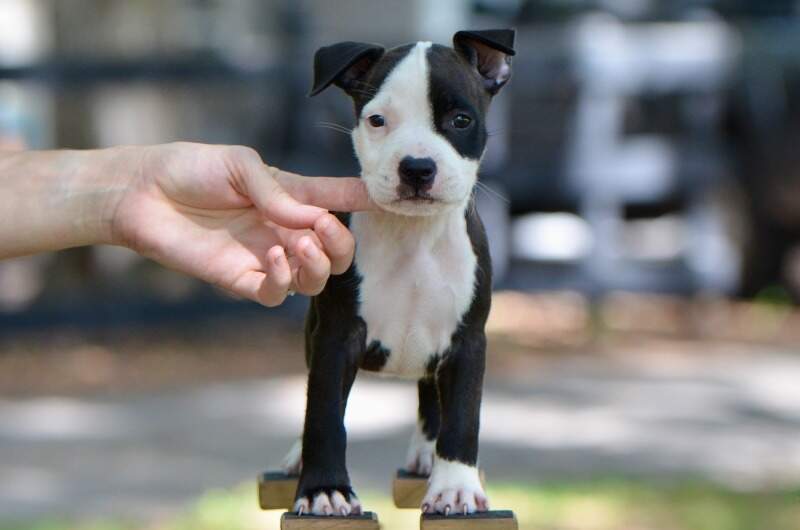 7 weeks