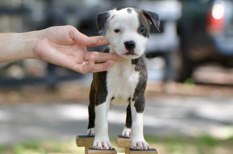 7 weeks