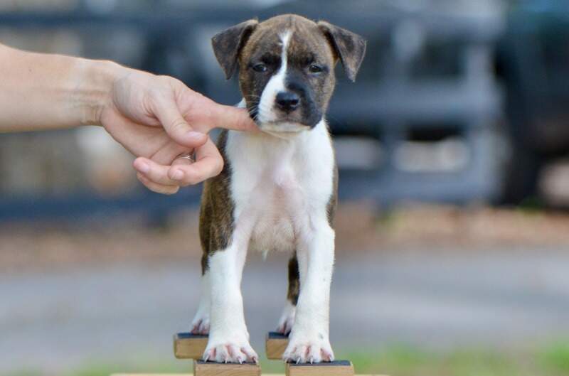 7 weeks