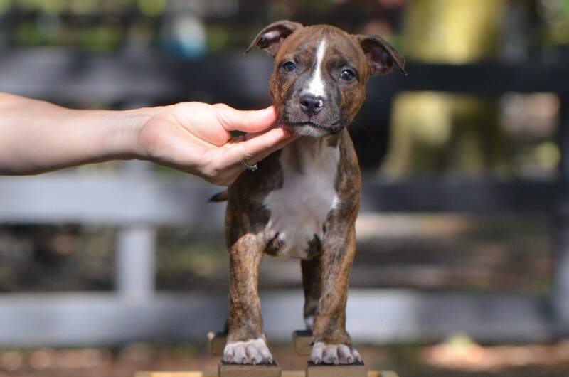7 weeks