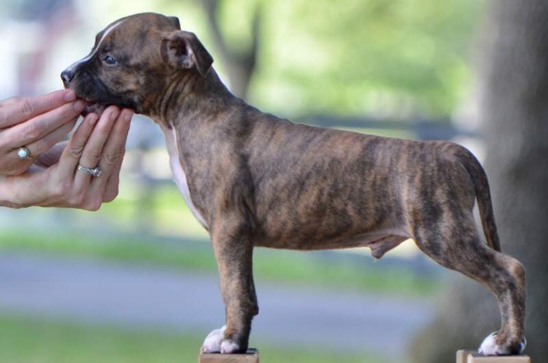 7 weeks