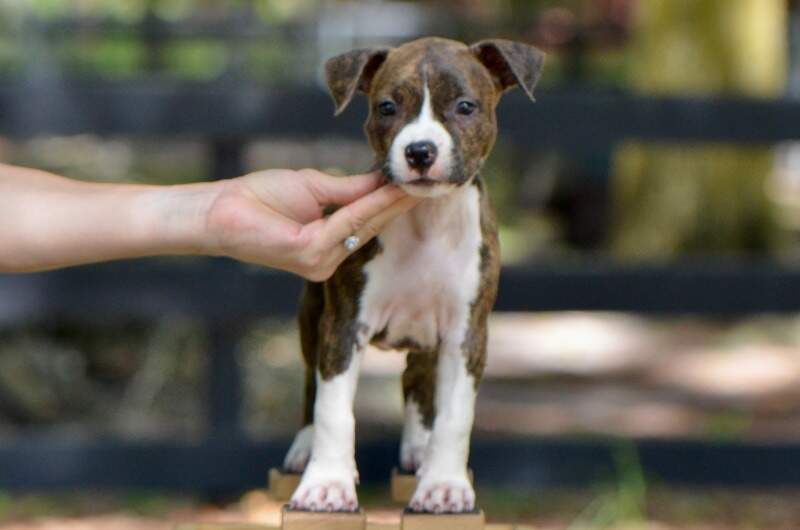 7 weeks