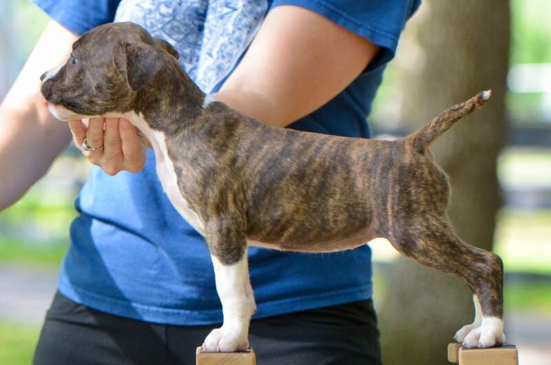 7 weeks