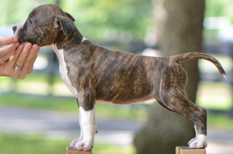 7 weeks