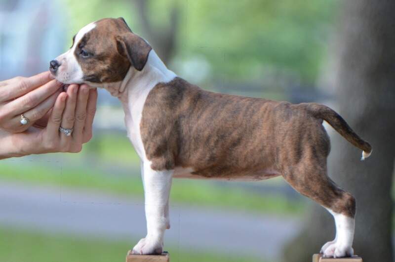 7 weeks
