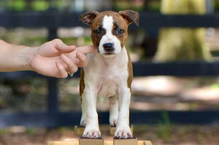 7 weeks