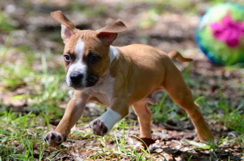 7 weeks