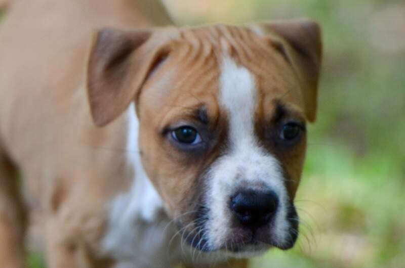 7 weeks
